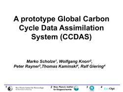 A prototype Carbon Cycle Data Assimilation System (CCDAS)