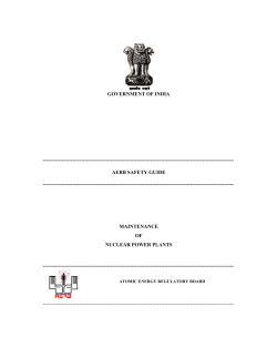 Maintenance of Nuclear Power Plants