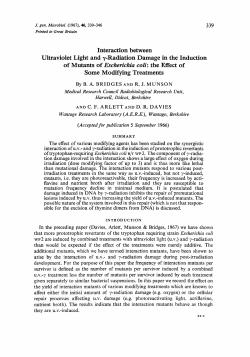 Interaction between Ultraviolet Light and y-Radiation