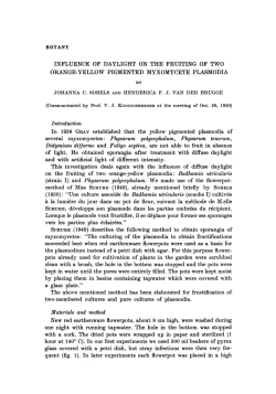 Influence of daylight on the fruiting of two orange