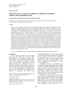 Maize (Zea mays L.) nutrient use efficiency as affected