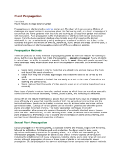 Plant Propagation - Yankton County 4-H