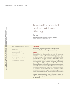 Terrestrial Carbon–Cycle Feedback to Climate Warming