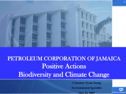 Renewable Energy - Jamaica Clearing