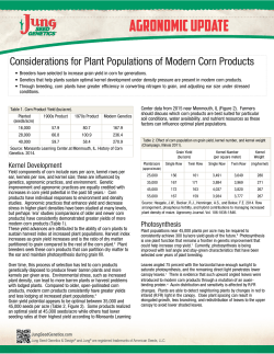 Considerations for Plant Populations of Modern Corn Products