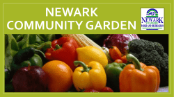 Newark Community Garden