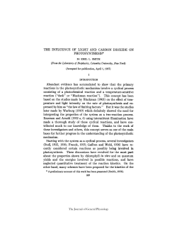 THE INFLUENCE OF LIGHT AND CARBON