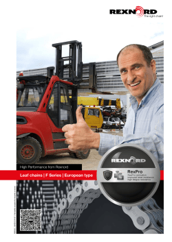 Leaf chains | F Series | European type