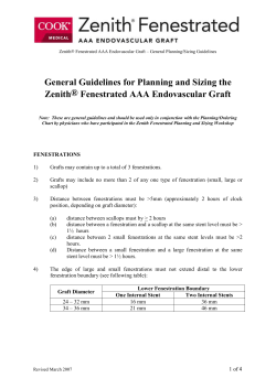 General Guidelines for Planning and Sizing the