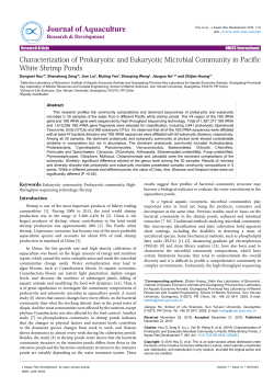 Characterization of Prokaryotic and Eukaryotic Microbial Community