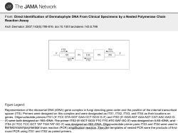 Direct Identification of Dermatophyte DNA From Clinical Specimens