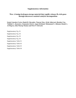 Supplementary Information