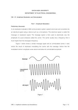 KHON KAEN UNIVERSITY