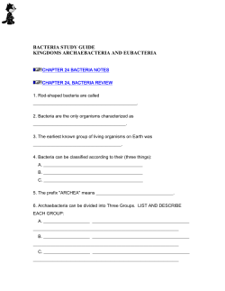 BACTERIA STUDY GUIDE KINGDOMS ARCHAEBACTERIA AND