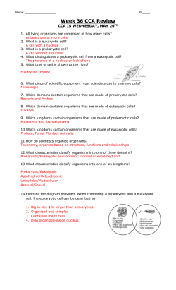 Week 36 CCA Review