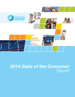 2014 State of the Consumer Report