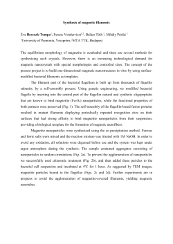 Synthesis of magnetic filaments &Eacute;va Bereczk