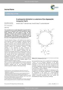 A cyclosporine derivative is a substrate of the oligopeptide