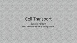 Cell Transport
