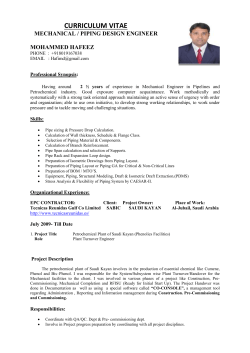 CURRICULUM VITAE MECHANICAL / PIPING DESIGN ENGINEER