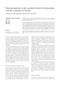 Paedomorphosis in the conodont family Icriodontidae and the
