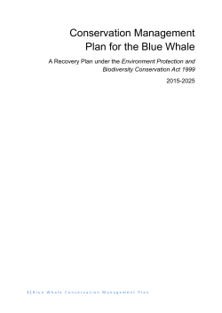 Blue Whale Plan Aug 2015