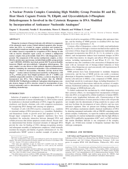 A Nuclear Protein Complex Containing High