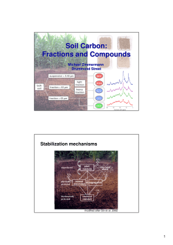 Soil Carbon: Fractions and Compounds