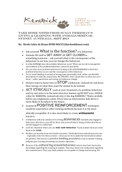 Take Home Notes on Susan Friedman`s Lectures.