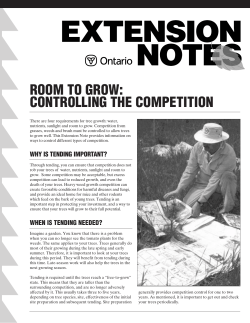 ROOM TO GROW: CONTROLLING THE COMPETITION