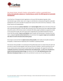 One Human Family, Caring for Creation: acting together to deliver a