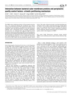 Interaction between bacterial outer membrane proteins and