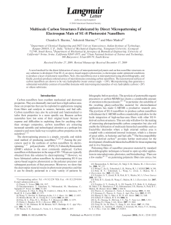 Multiscale Carbon Structures Fabricated by Direct