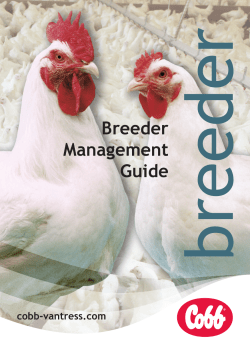 Breeder Management Guide - Cobb