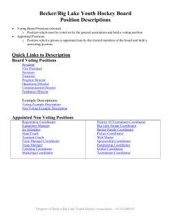 Becker/Big Lake Youth Hockey Board Position Descriptions