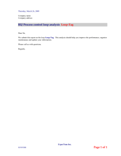 Sample Loop Report in MS Word