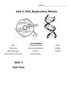 Unit 5 Mitosis DNA Packet Part 1