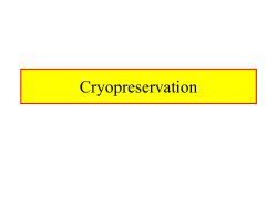 Cryopreservation Chpt. 20