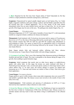 Symptoms: The disease is characterized by oval to