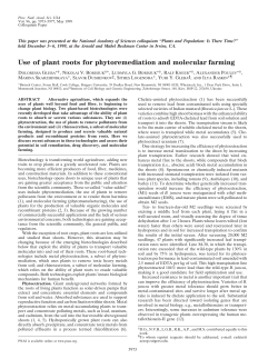 Use of plant roots for phytoremediation and molecular farming