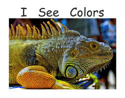 I See Colors - Free Kids Books