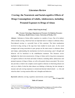Literature Review Craving: the Neurotoxic and Social