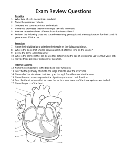 Exam Review Questions