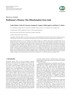 Review Article Parkinson`s Disease: The Mitochondria
