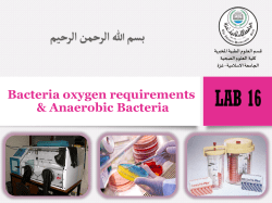 Oxygen Requirements Classifications