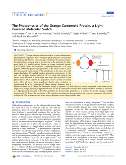 The Photophysics of the Orange Carotenoid Protein, a Light