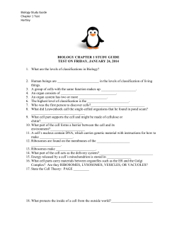Biology Chapter 1 Study Guide
