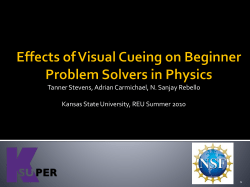 Effects of Visual Cueing on Beginner Problem
