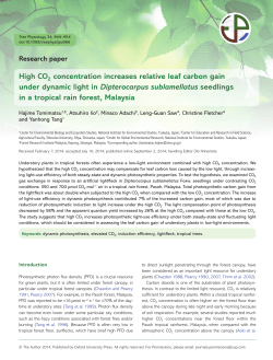 High CO2 concentration increases relative leaf
