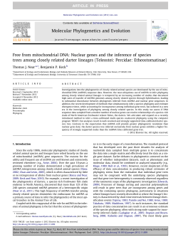 Free from mitochondrial DNA: Nuclear genes and the inference of